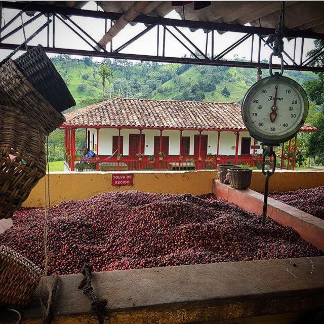 Finca El Ocaso Salento 호텔 외부 사진