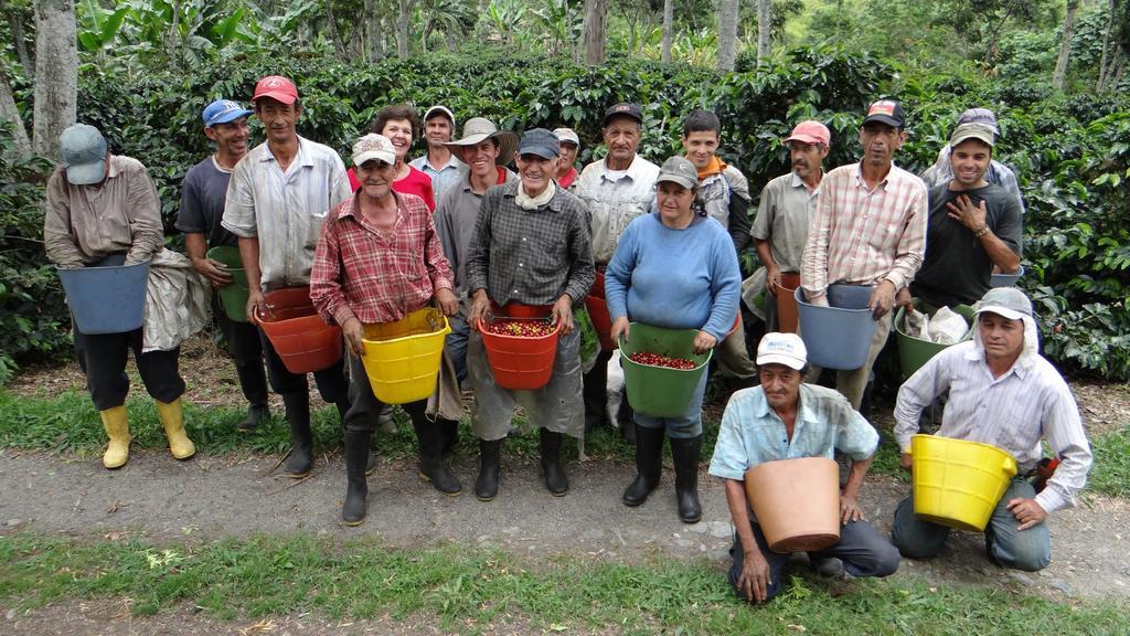 Finca El Ocaso Salento 호텔 외부 사진