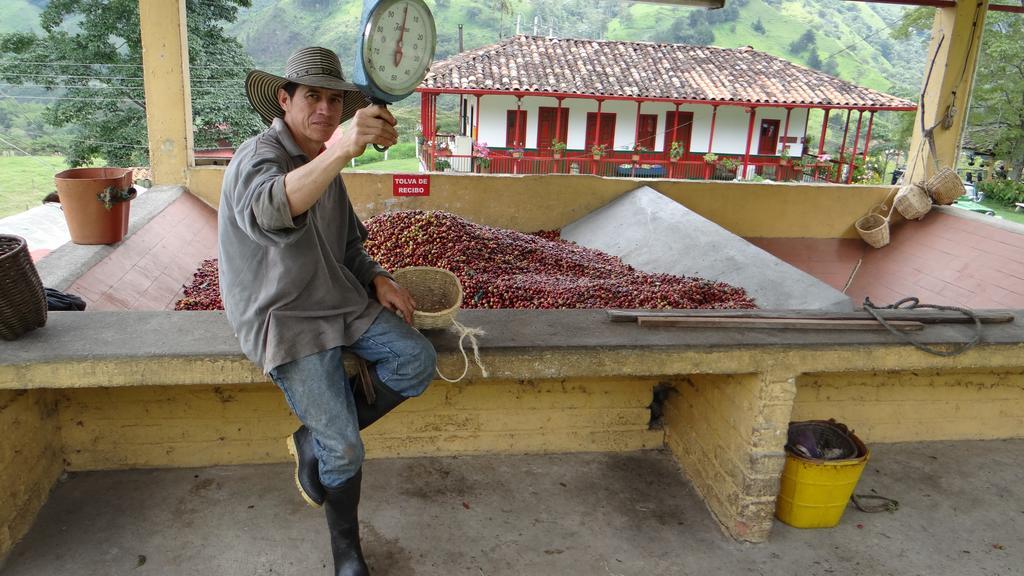 Finca El Ocaso Salento 호텔 외부 사진