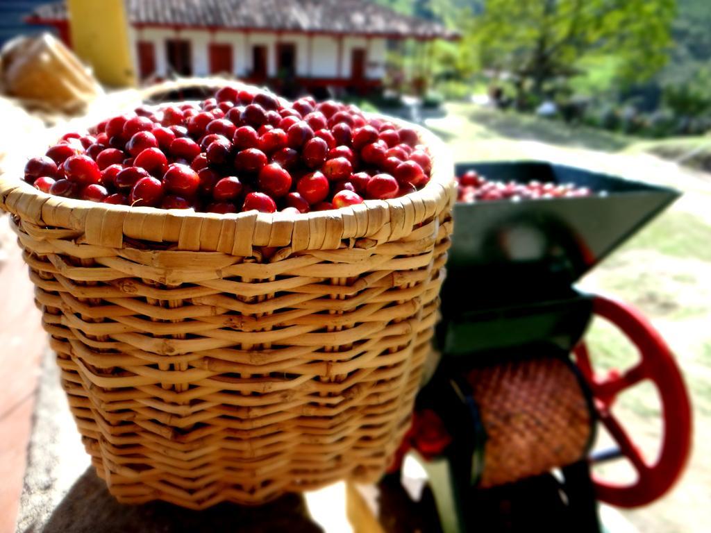 Finca El Ocaso Salento 호텔 외부 사진
