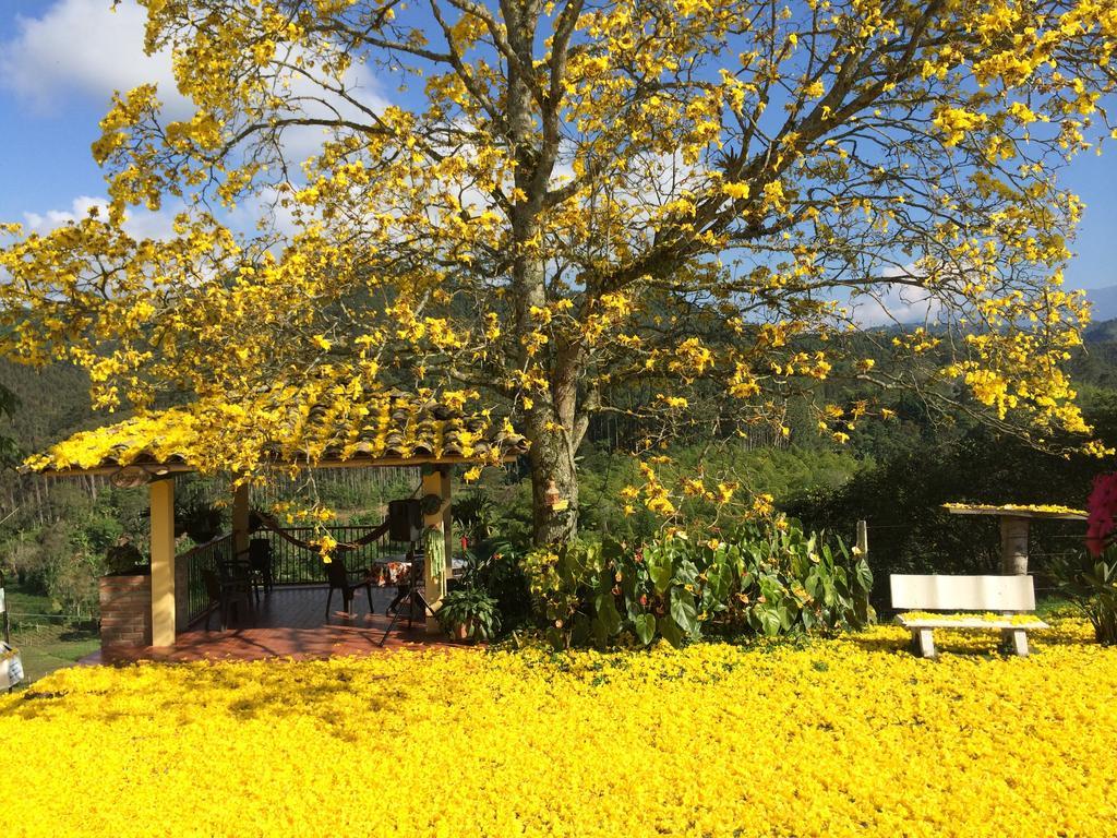 Finca El Ocaso Salento 호텔 외부 사진